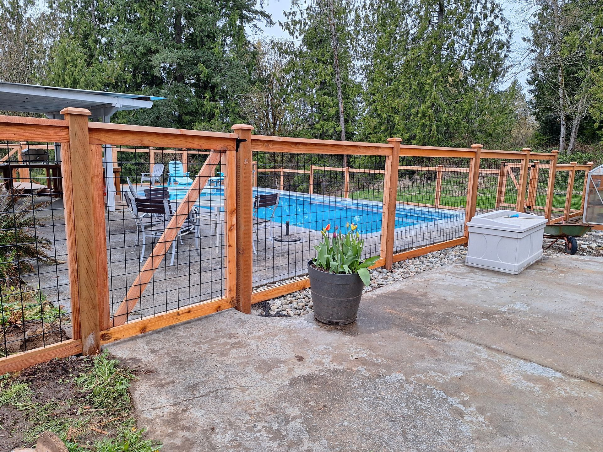 Wooden fence surrounds a pool with a gate. A potted plant sits in front. Gray patio.