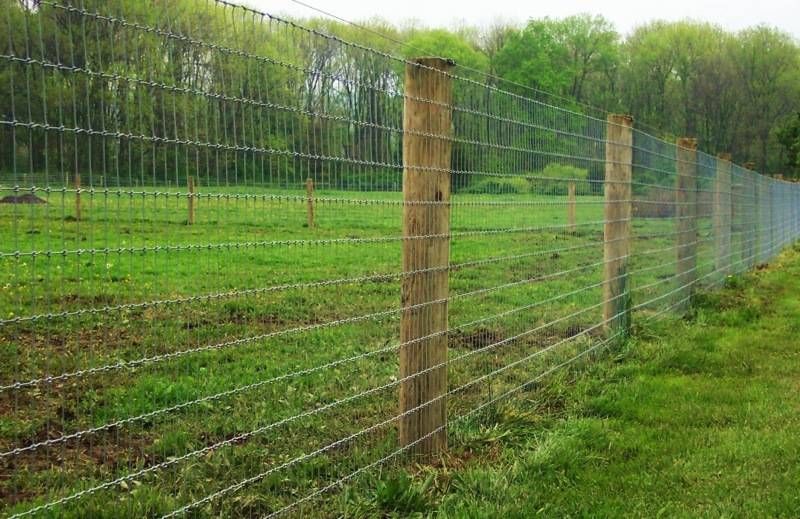 Wire fence with wooden posts in a grassy field. Trees in the background.