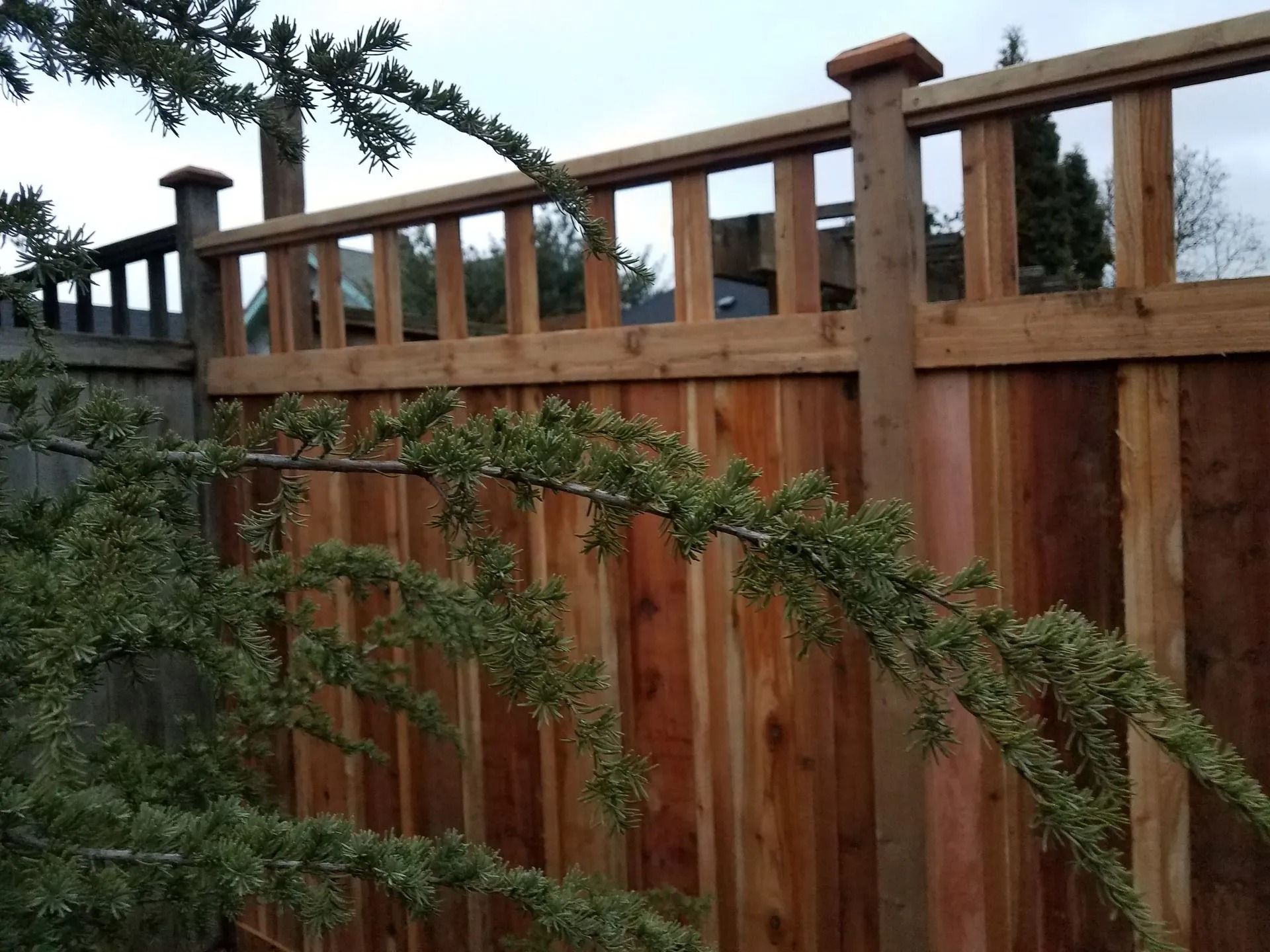 Wooden fence with vertical planks and horizontal railing, brown, with green branches in front.