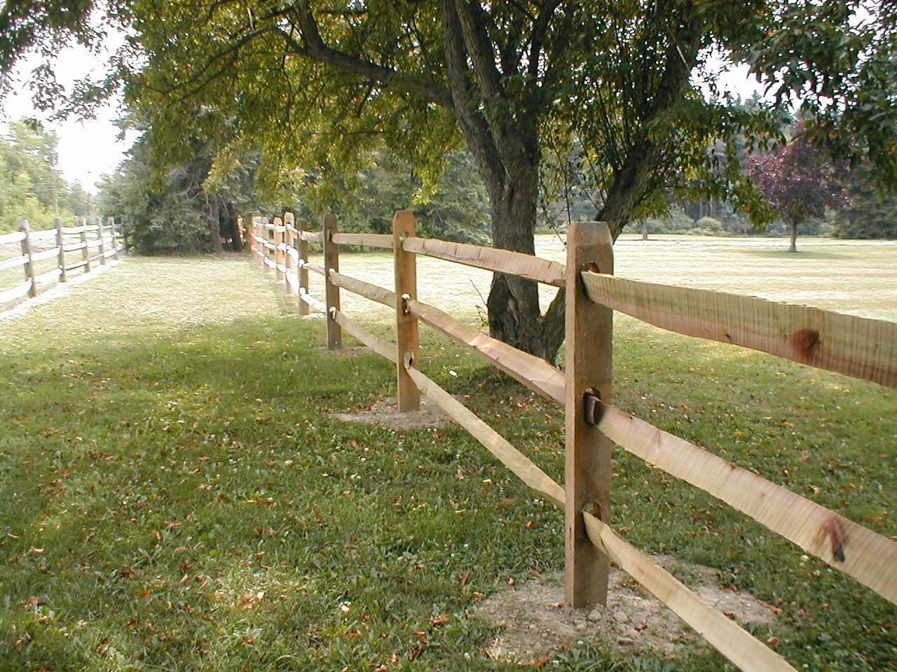 Wooden split-rail fence in a grassy field, trees in the background. Sunny day.