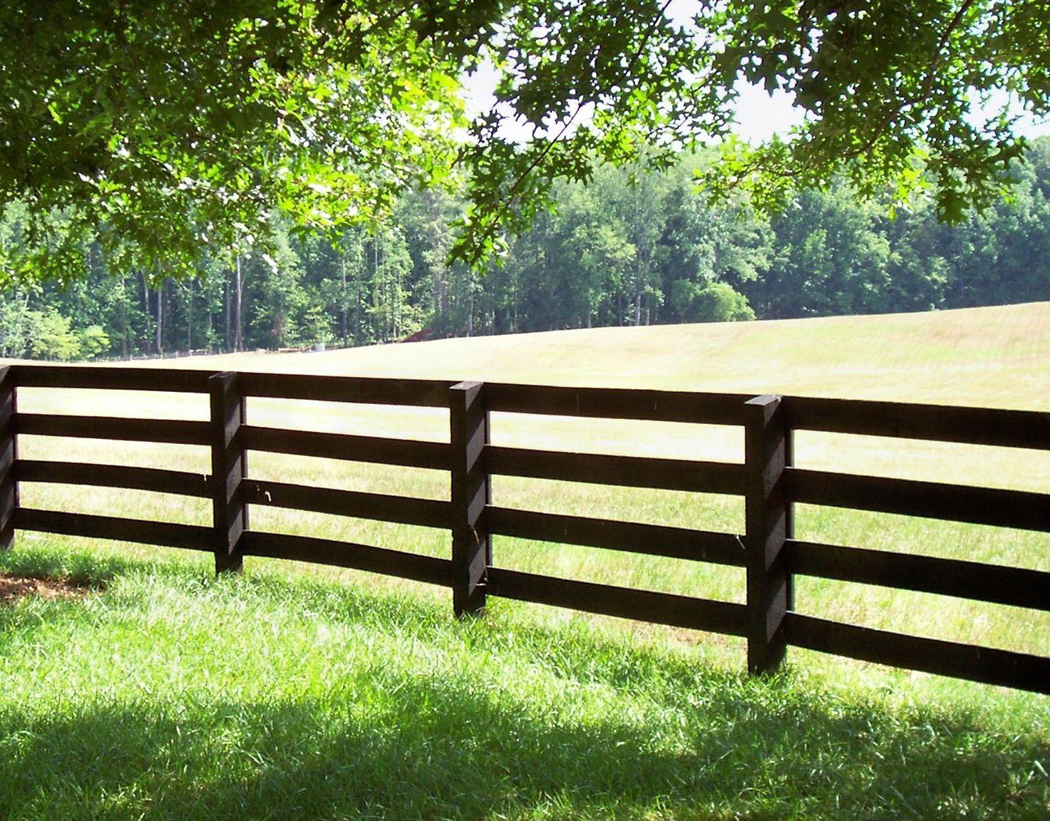 Wooden fence in a grassy field with trees in the background, under the shade of a tree.