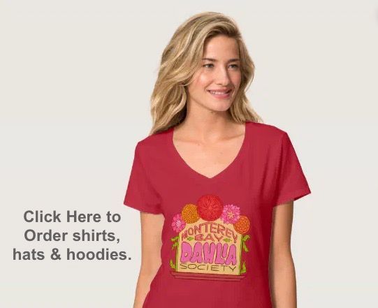 MBDS Logo Shirts and hats