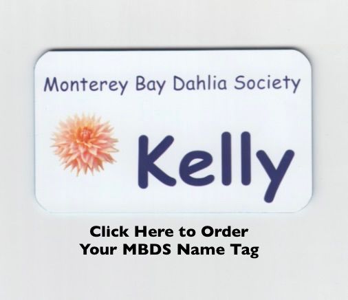 Name Tag MBDS