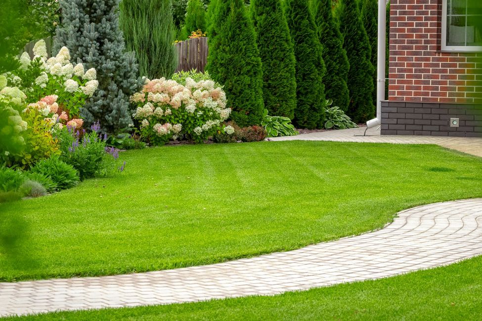 Freshly Mowed Lawn