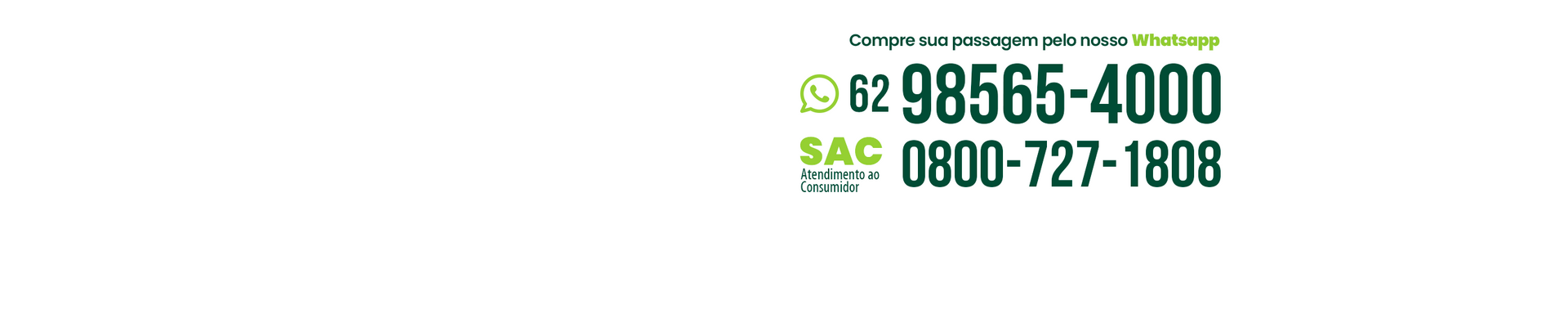 Ônibus de dois andares verde e preto com o logotipo 