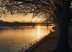 Nave espacial de Varginha, Minas Gerais