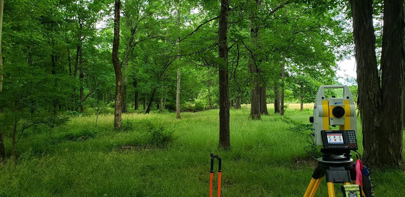 a tripod is sitting in the middle of a forest