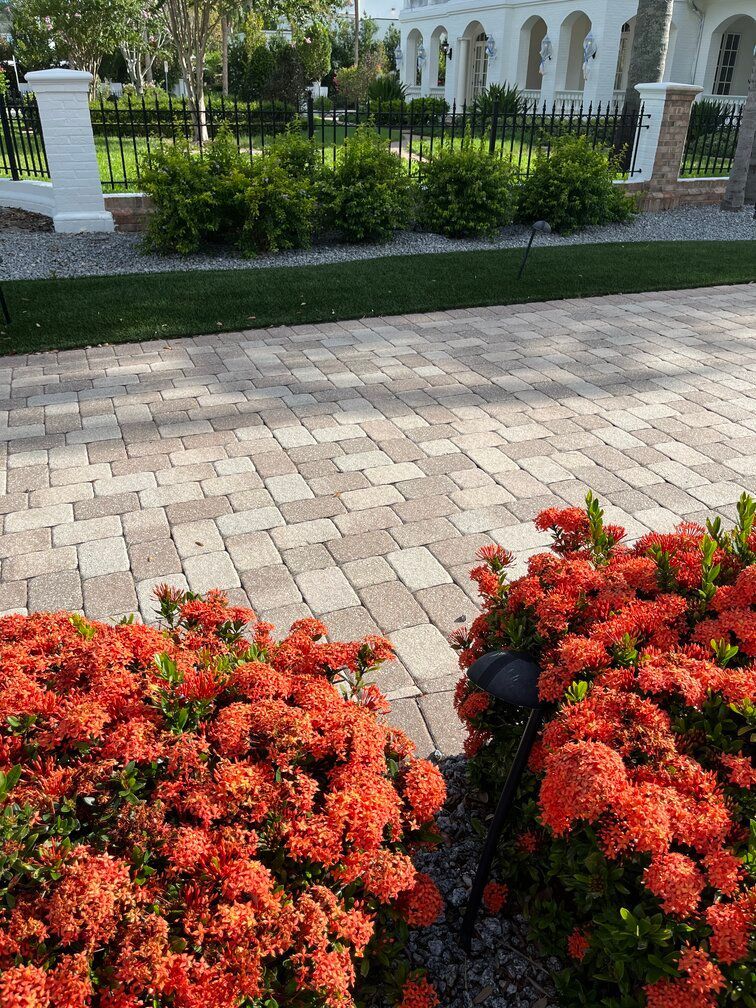 artificial grass lining pavers plus gravel and landscaped shrubs in South Tampa