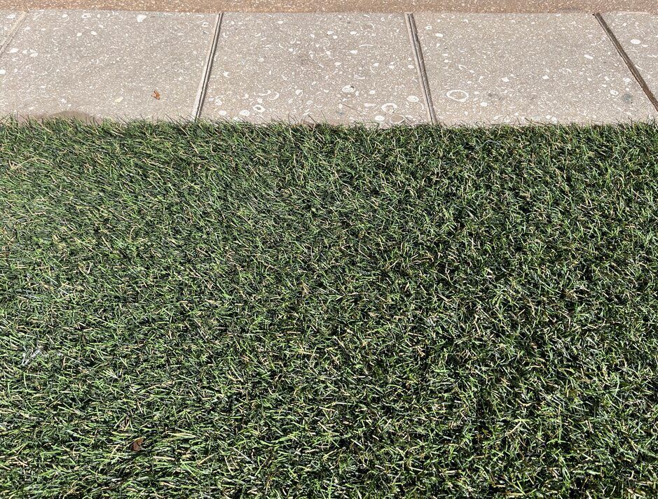 turf close up next to a stone walkway