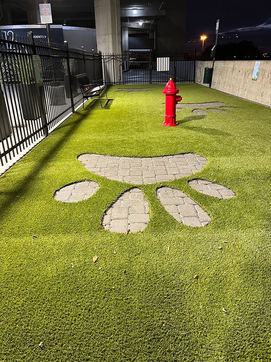 City hotel with dog run in artificial grass. Pavers are used in the shape of a dog's paw print.