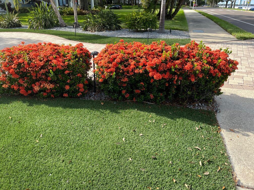 turf and landscaping combination at residential property