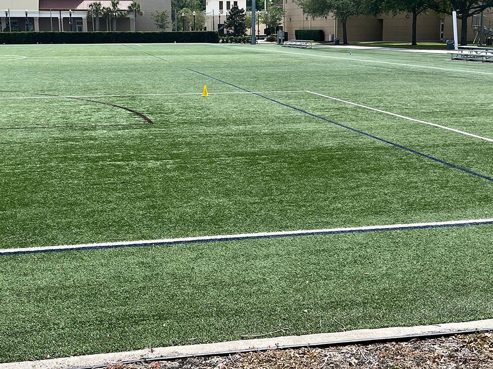 painted lines on sports turf in south tampa