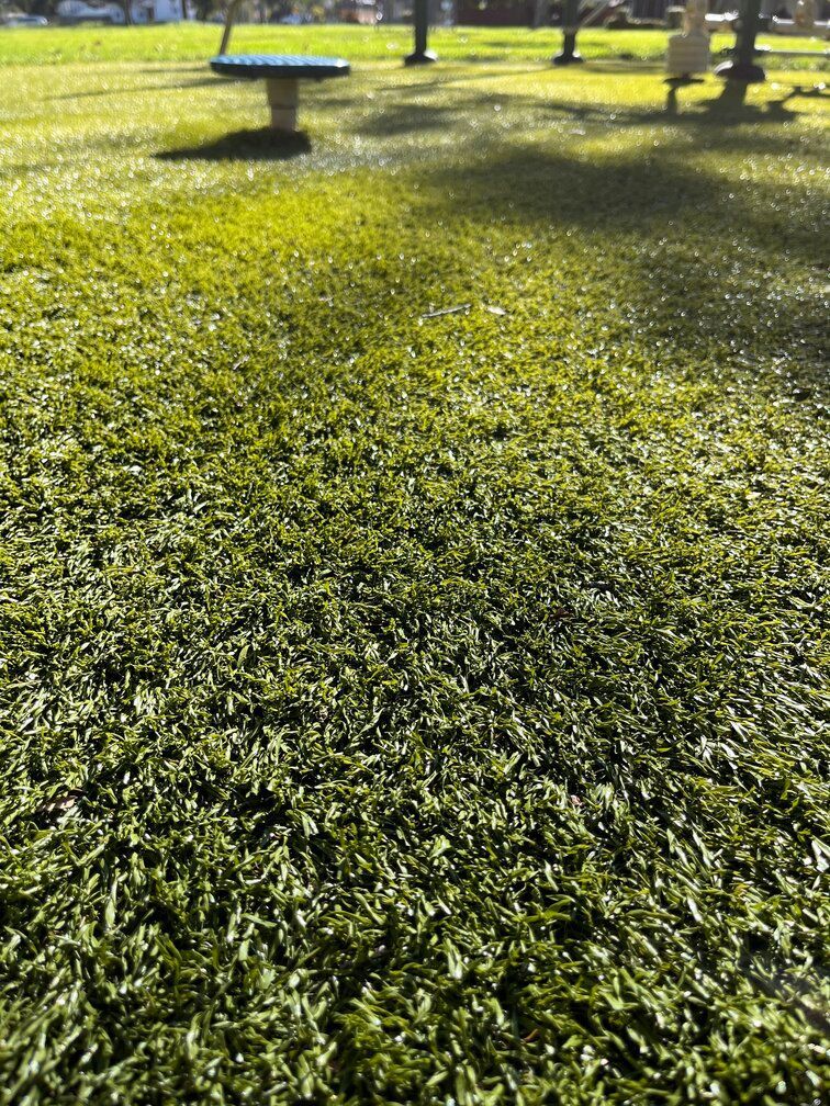 fibers of artificial turf shown in detail at a work out location outdoors