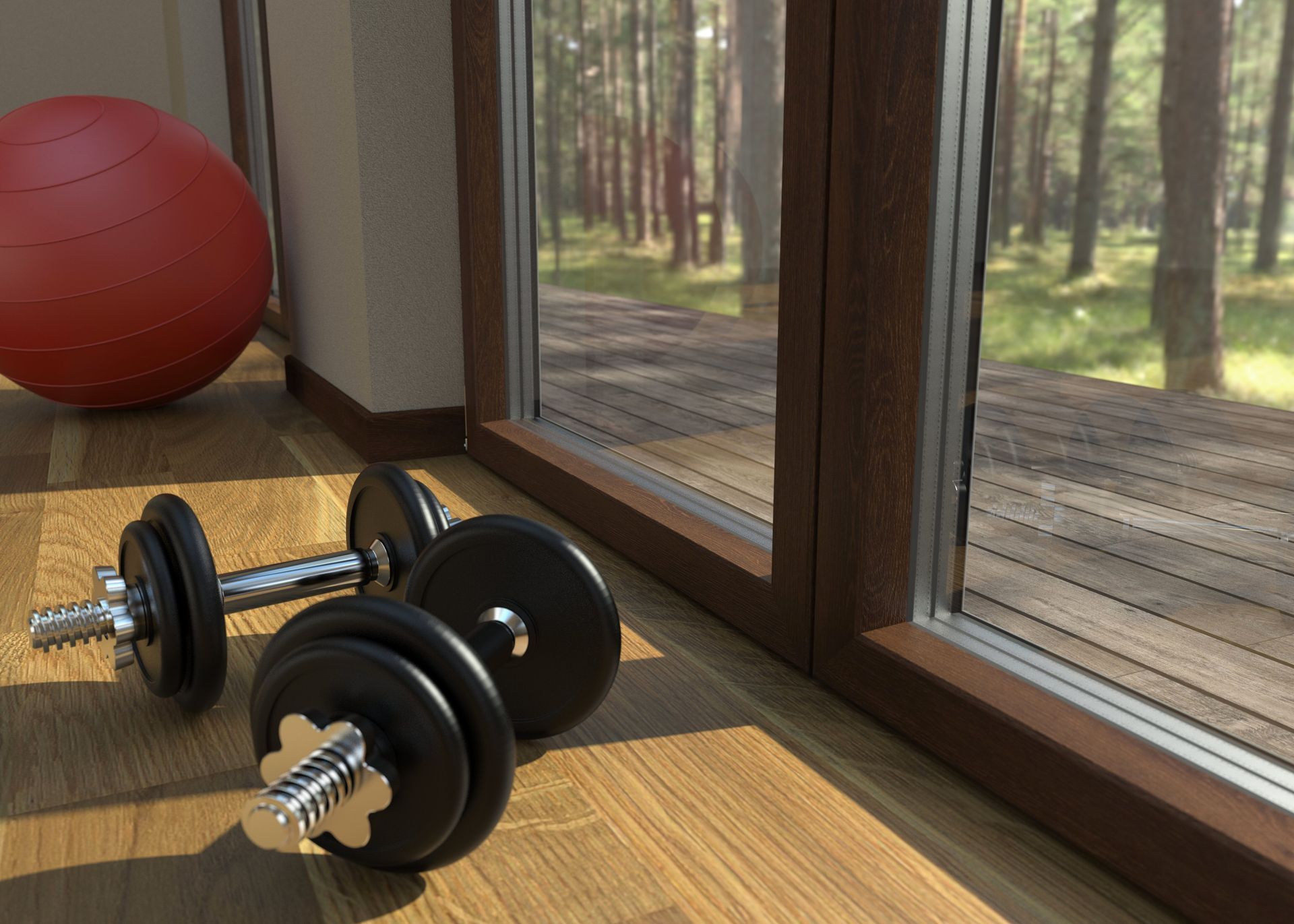 Un paio di manubri appoggiati su un pavimento di legno accanto a una finestra.