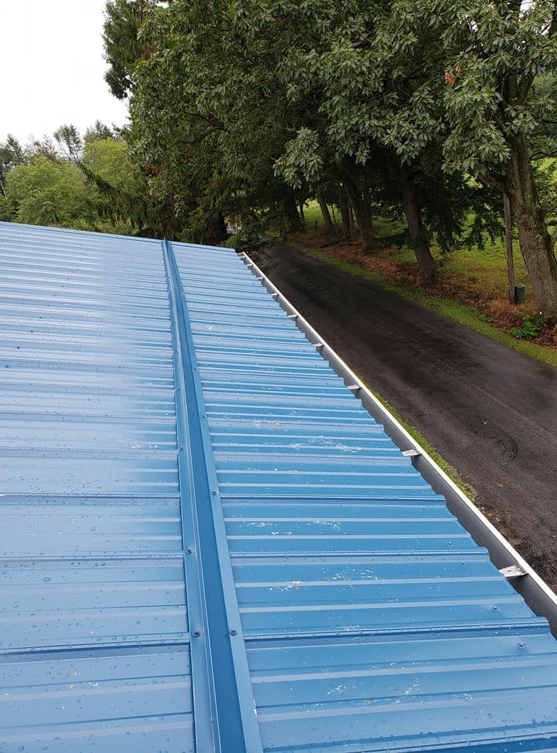 A black metal gutter guard mesh installed on a rain gutter along the edge of a roof with asphalt shingles.