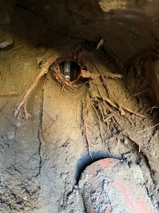 A close up of a hole in the ground with roots coming out of it.