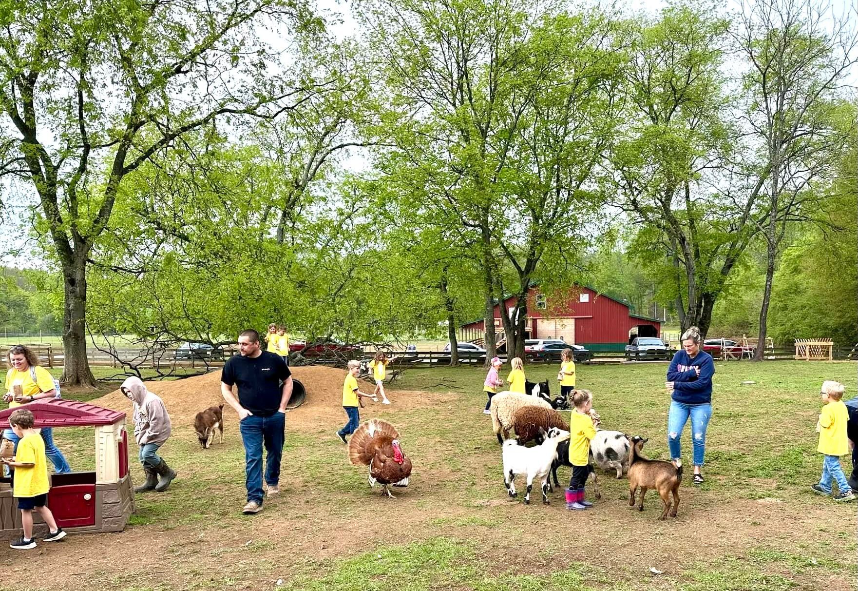 A group of people are standing in a field with animals.