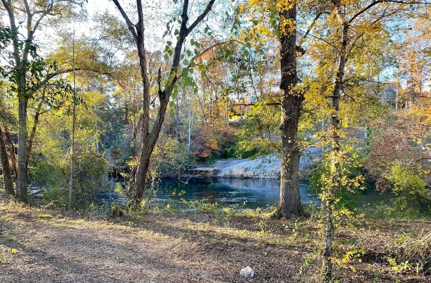 A river is surrounded by trees and leaves in the middle of a forest.