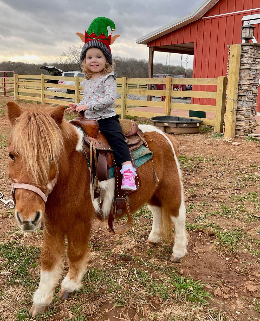 Mini Pony Ride Pony Rides & Petting Zoo - Ocoee Riverside Farm