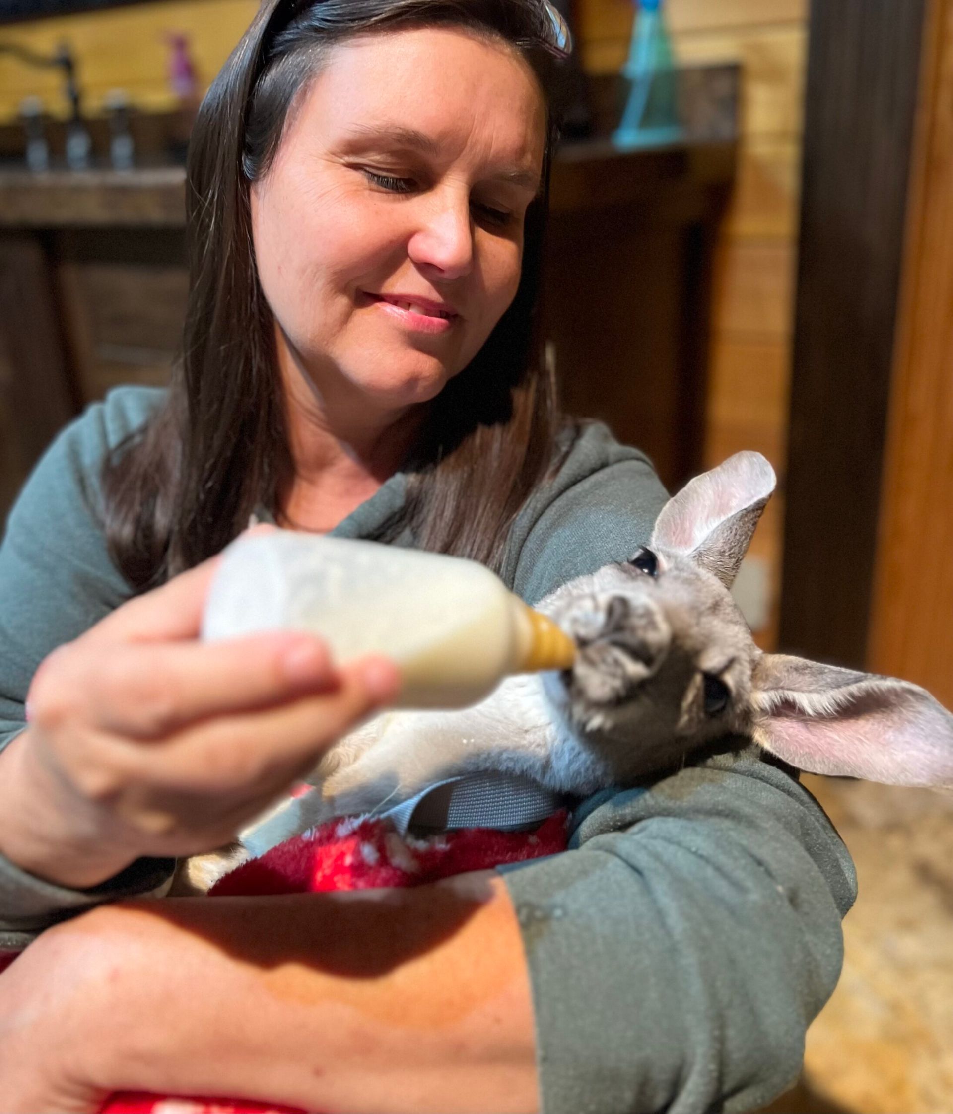 A woman is feeding a baby goat from a bottle