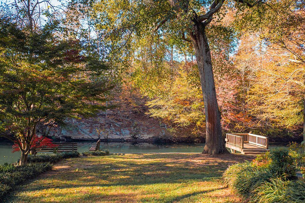 There is a bridge in the middle of the park.