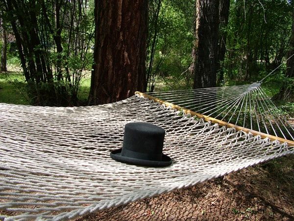 A top hat is laying on a hammock in the woods