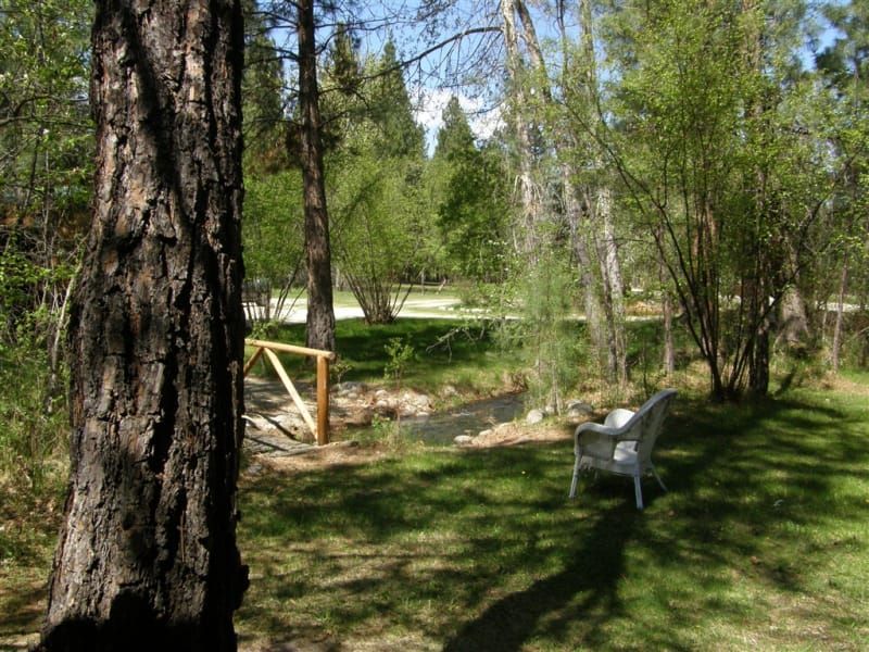 A chair is sitting in the grass near a tree in the woods
