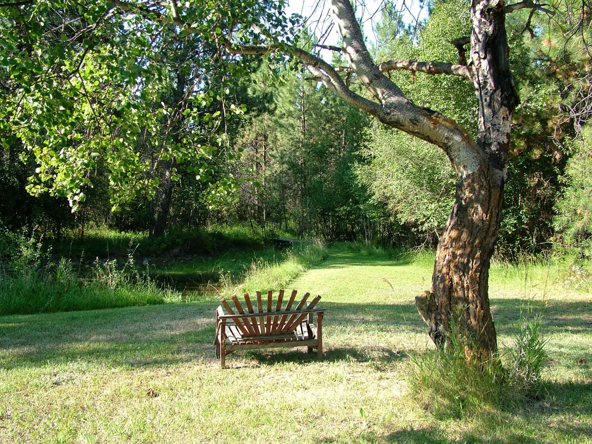 A wooden bench is sitting under a tree in a grassy field.