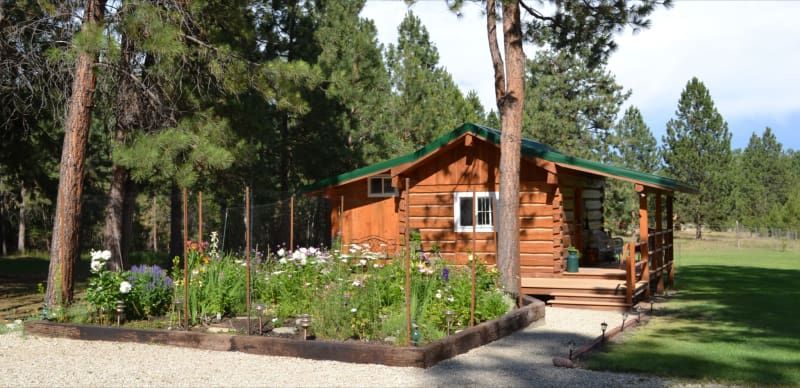 A small log cabin in the middle of a forest