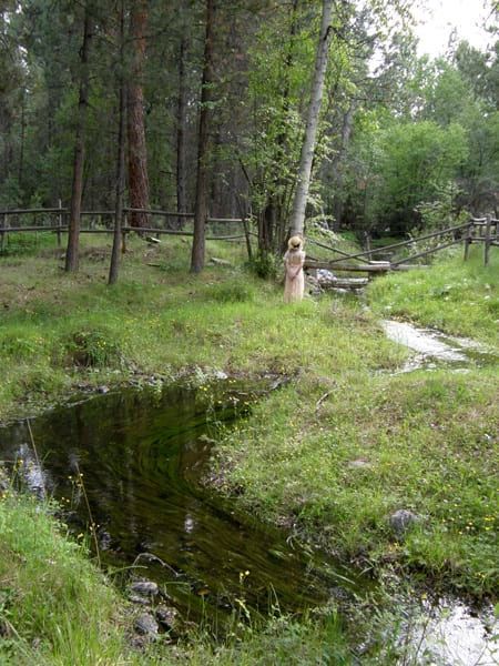 A woman is standing next to a stream in the middle of a forest.
