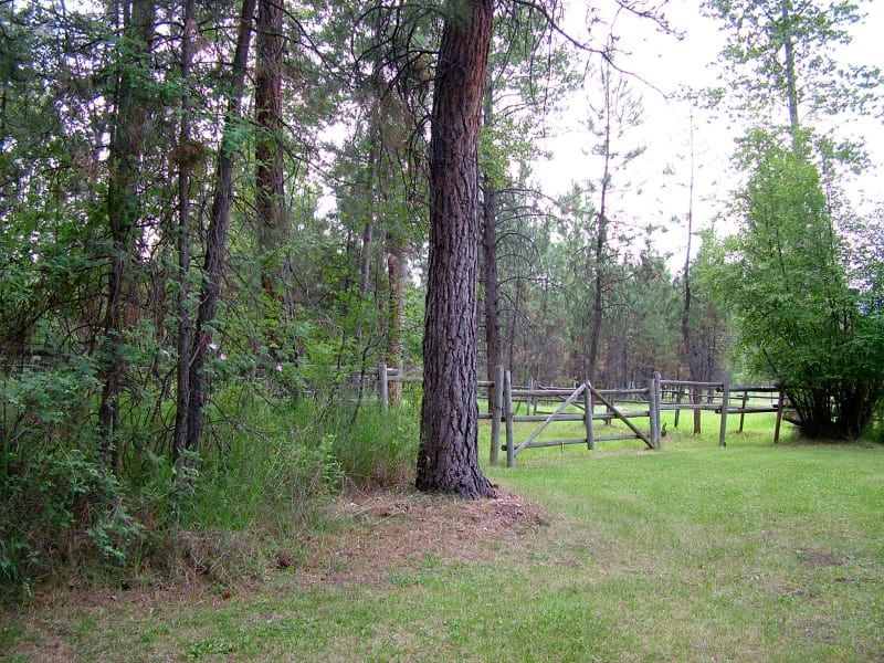 A wooden fence in the middle of a forest