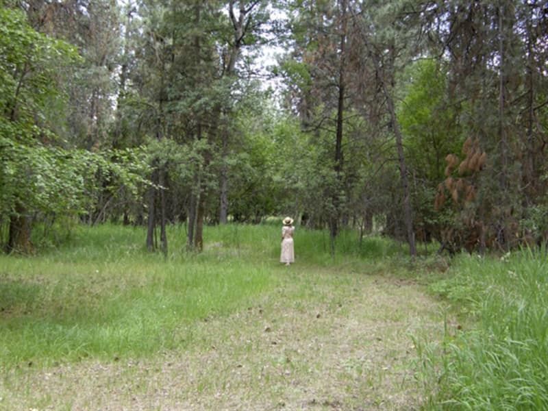 A person in a white dress is standing in the middle of a forest.