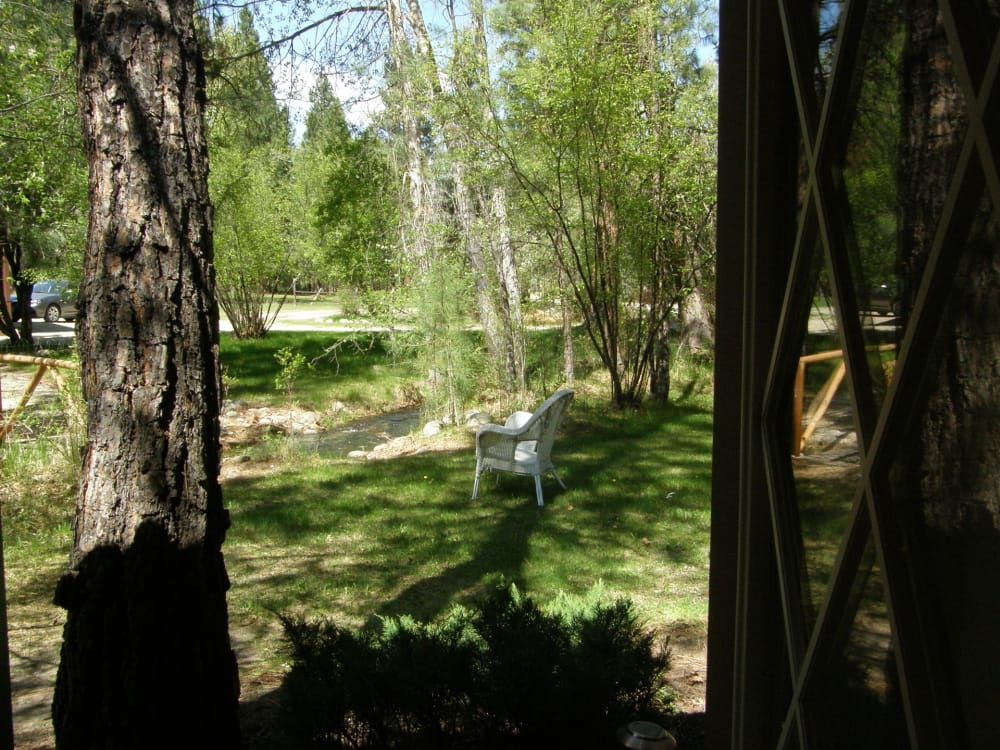 A view of a park through a window with a chair in the foreground