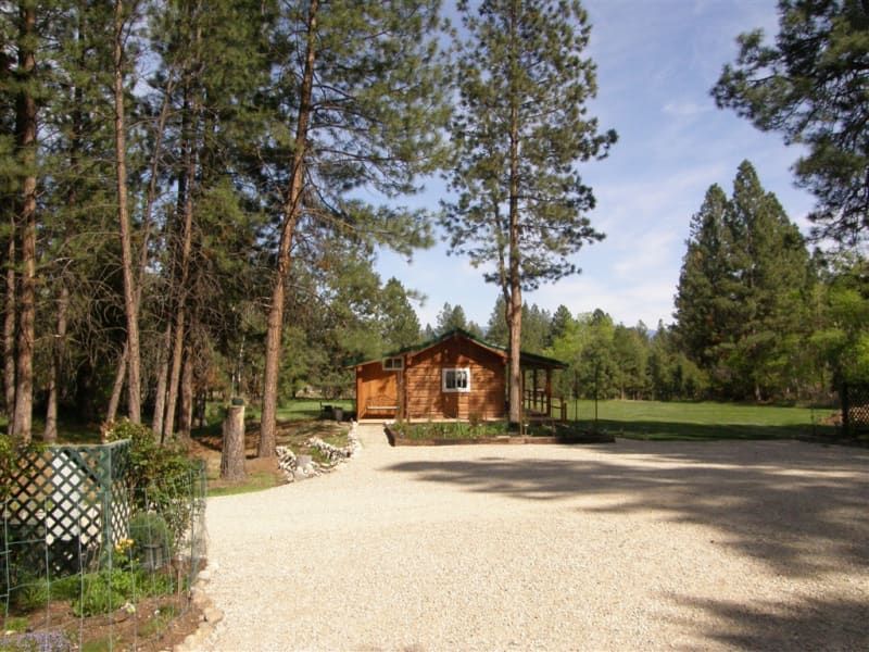 A small cabin in the middle of a forest
