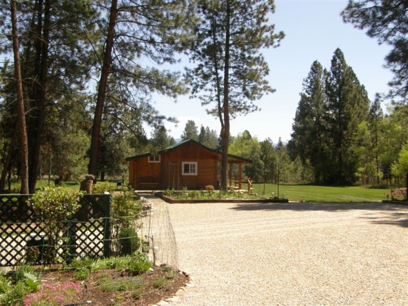 A small house in the middle of a forest