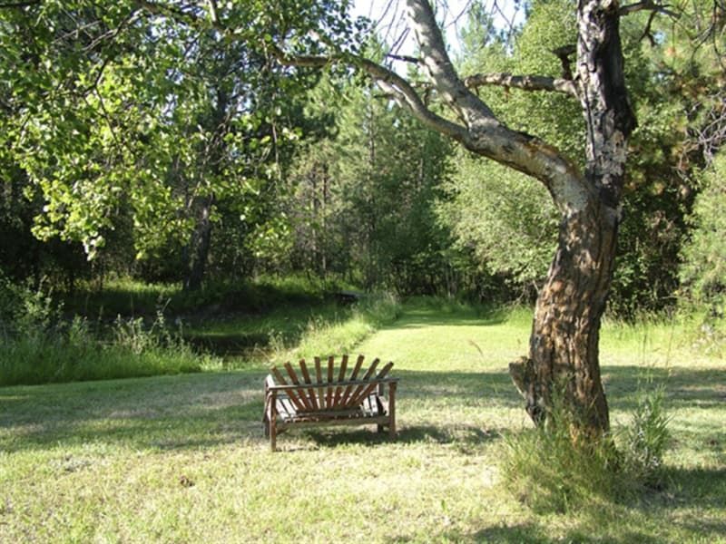 A wooden bench is sitting under a tree in a park.