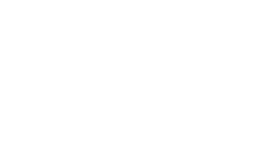 Ashley L. Ownby Attorney at Law