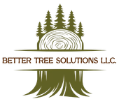 Tree Service in West Bloomfield, MI | Better Tree Solutions LLC