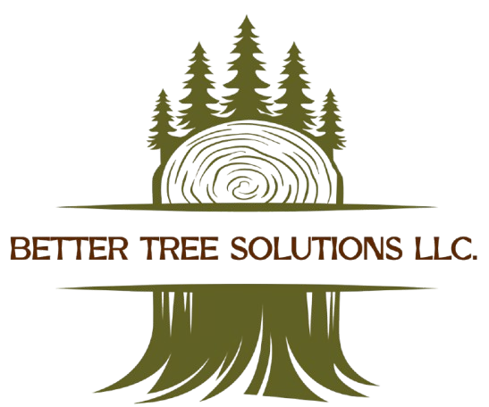 Tree Service in West Bloomfield, MI | Better Tree Solutions LLC