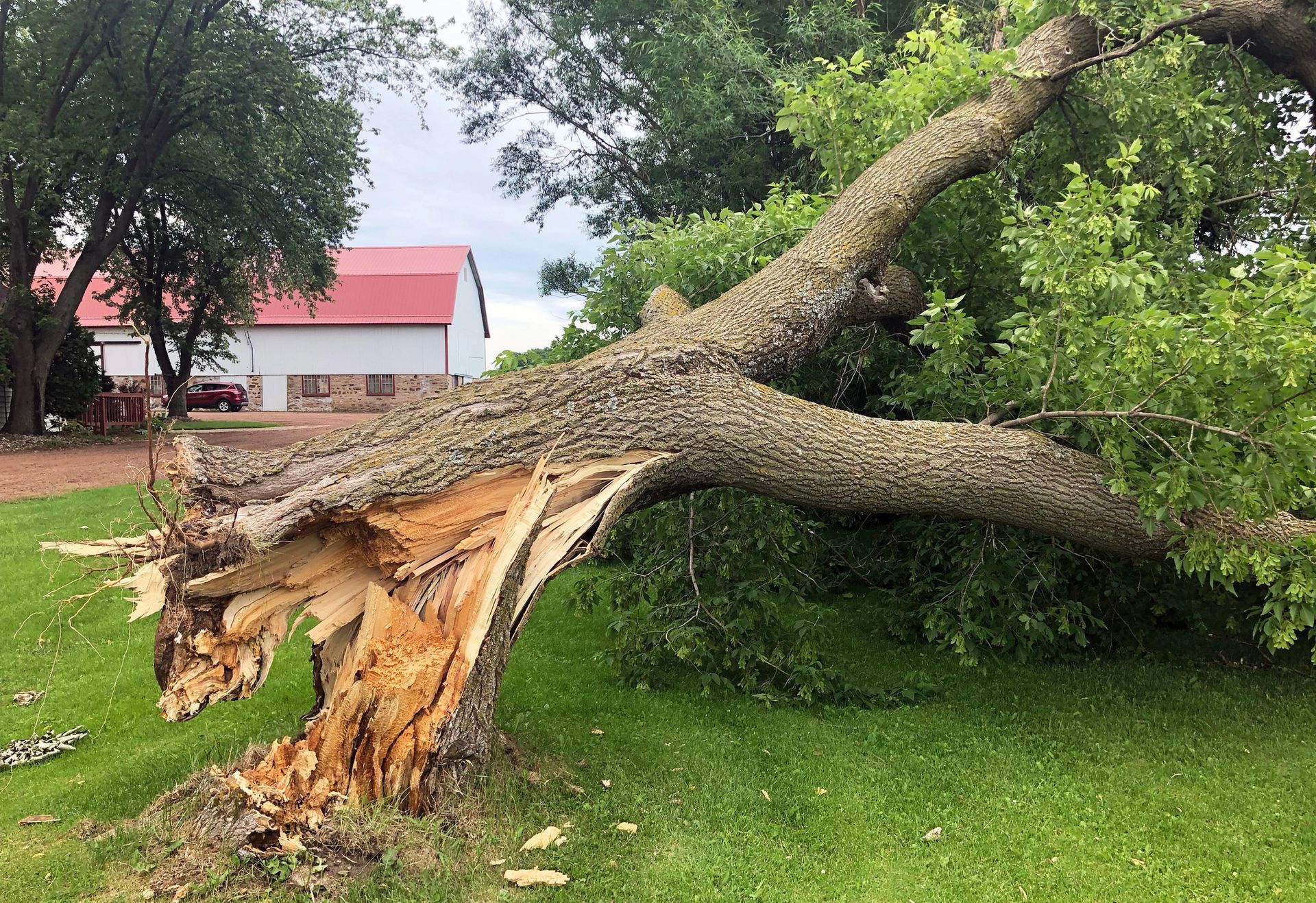 Storm Damage Clean Up in West Bloomfield, MI