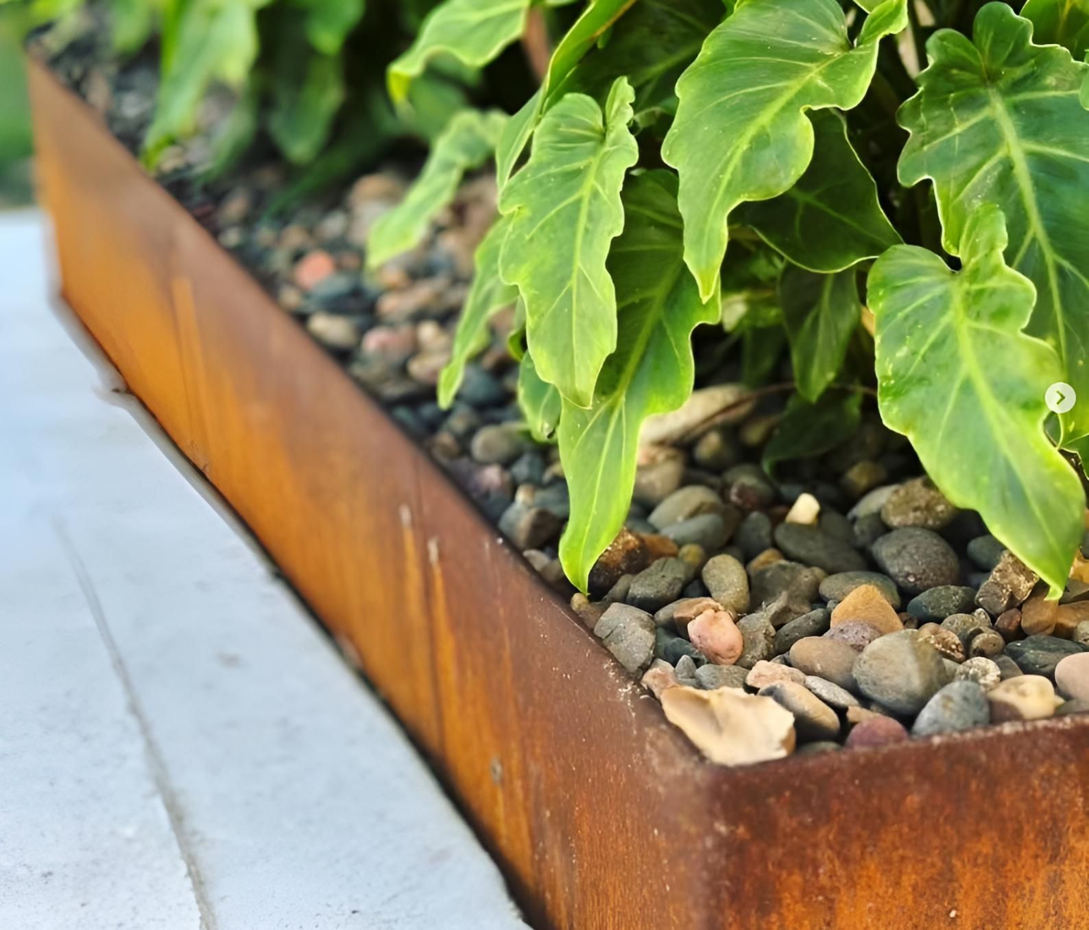 A Rusty Planter Filled With Rocks and Plants — Black Rock Garden Centre In Tyagarah, NSW