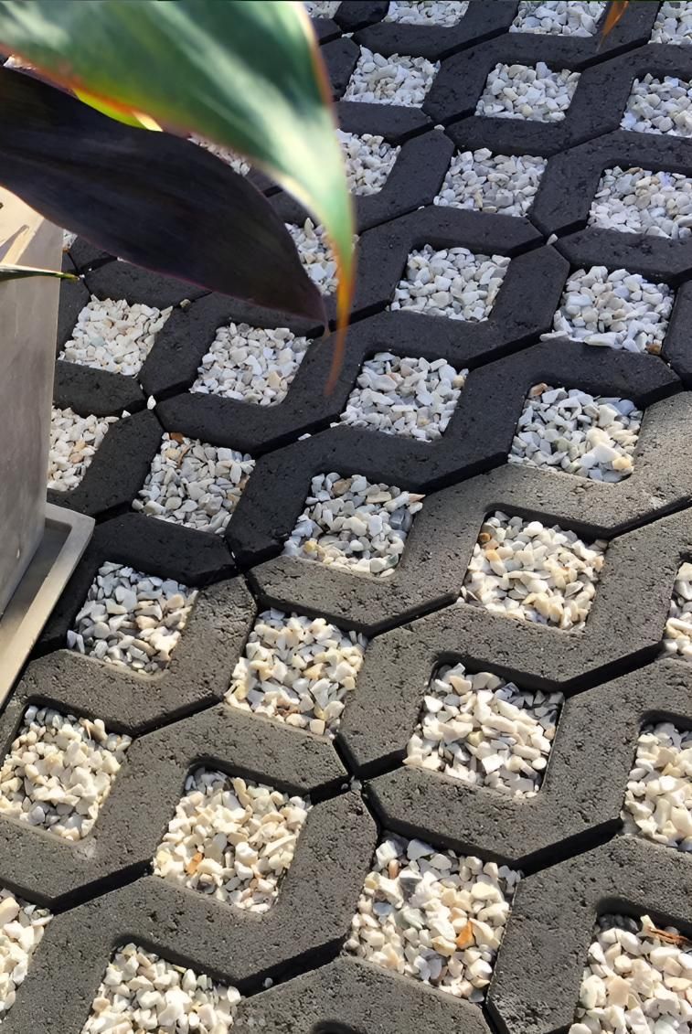 A Plant is Sitting on Top of a Black and White Brick Pavement — Black Rock Garden Centre In Tyagarah, NSW