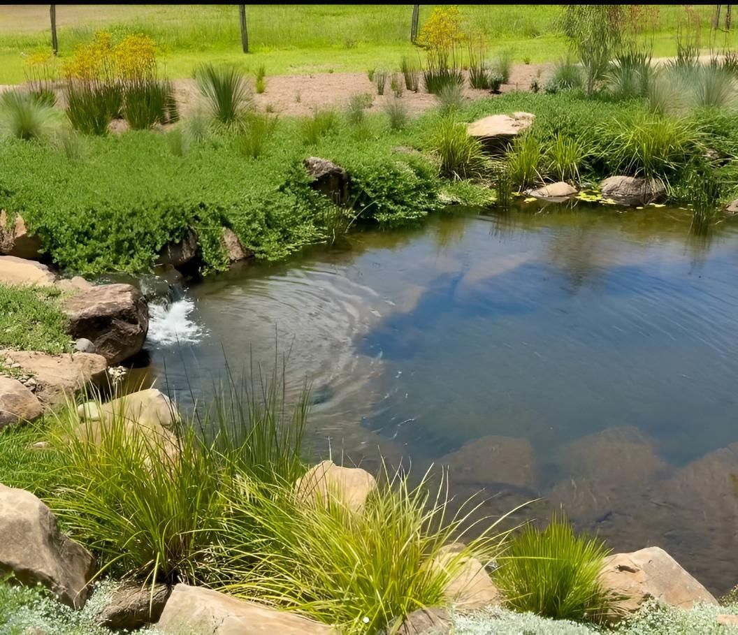 A Small Pond Surrounded by Grass and Rocks in a Park — Black Rock Garden Centre In Tyagarah, NSW