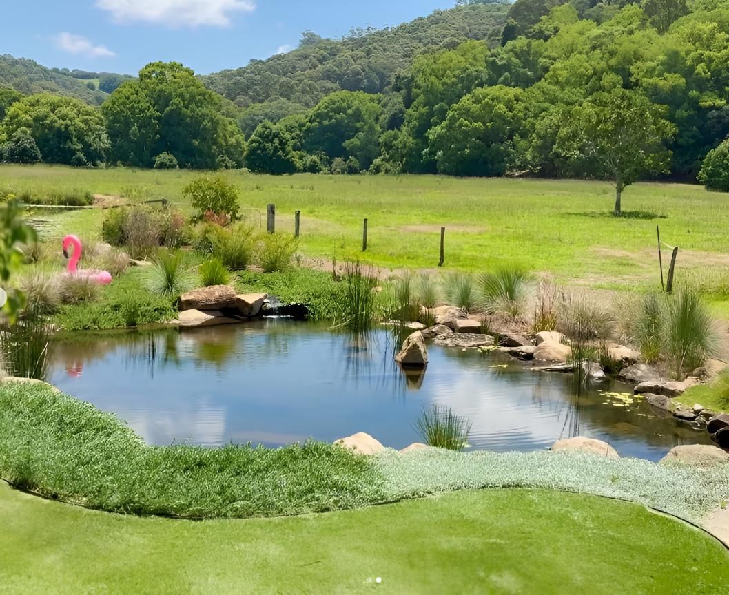 There is a Pond in the Middle of a Field With Trees in the Background — Black Rock Garden Centre In Tyagarah, NSW