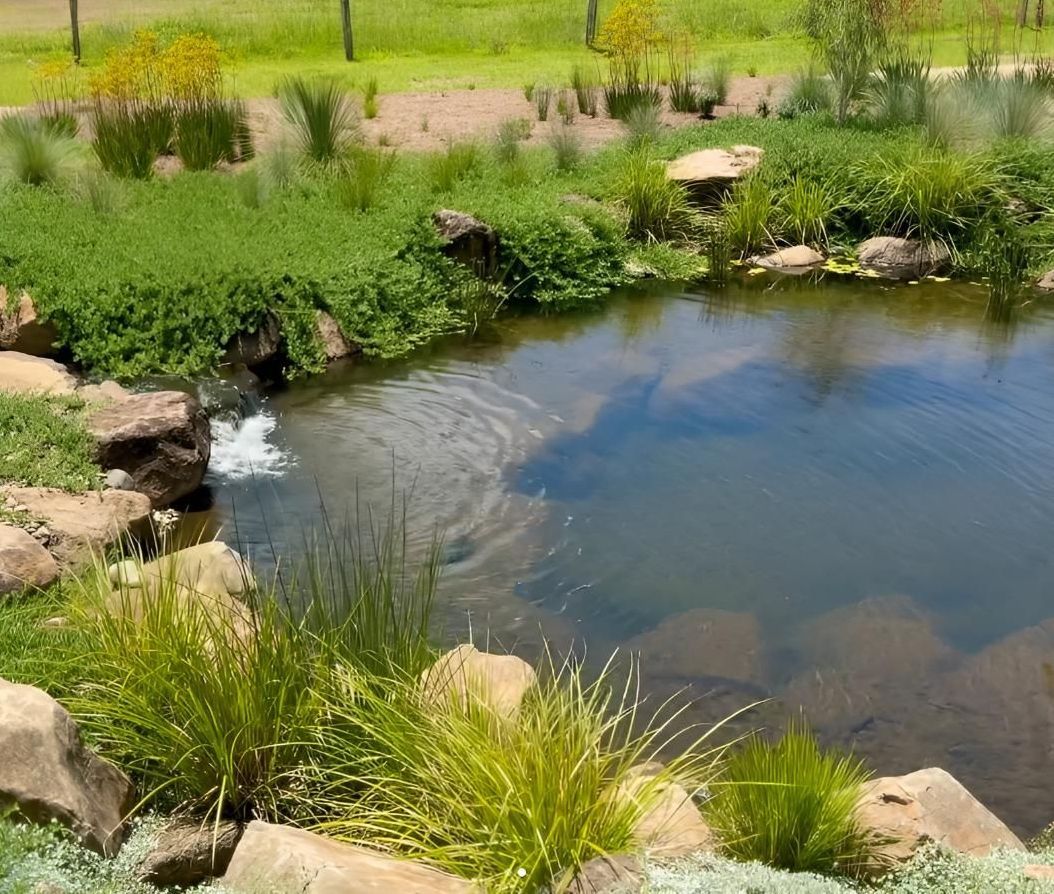 A Pool with Rocks in Backyard — Black Rock Garden Centre In Tyagarah, NSW