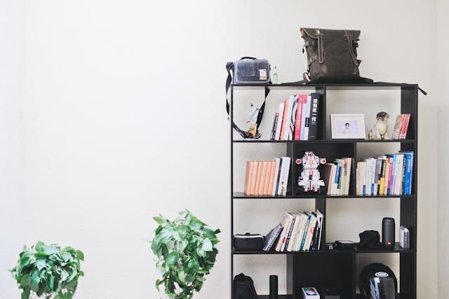 A bookshelf filled with books and a camera in a living room.