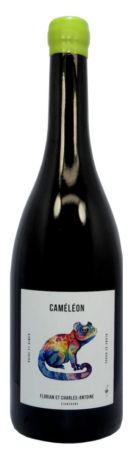Une bouteille de vin avec un caméléon sur l'étiquette.