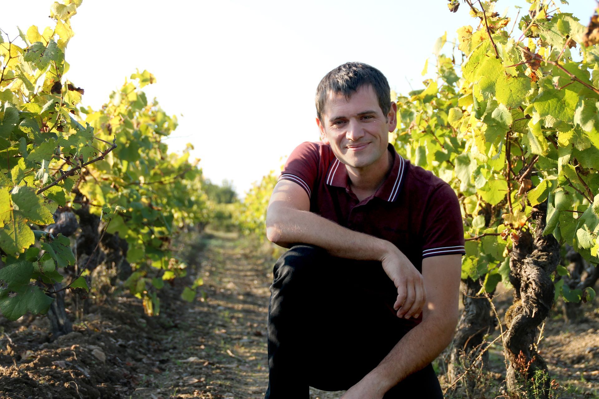 Un homme en chemise rouge est agenouillé dans un vignoble.