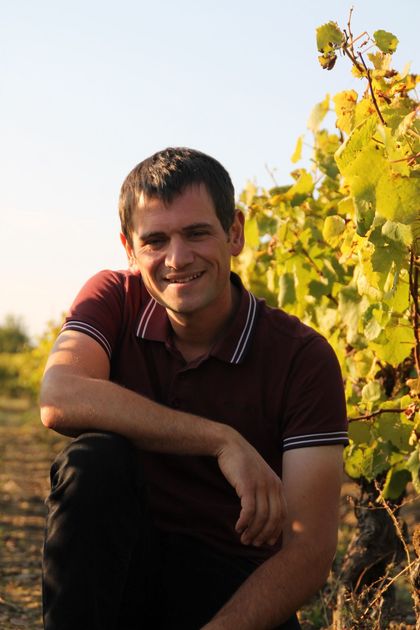 Un homme en chemise rouge est agenouillé devant un vignoble.