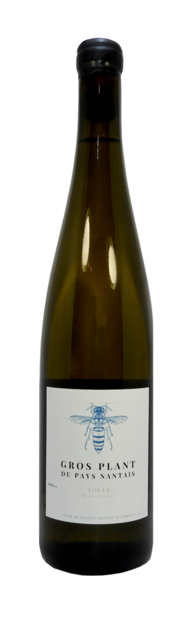 Une bouteille de vin avec une abeille sur l'étiquette sur fond blanc.